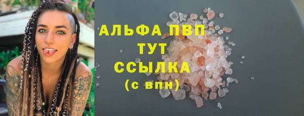 гидра Алексин