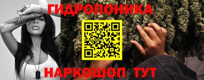 прущая мука Лесосибирск