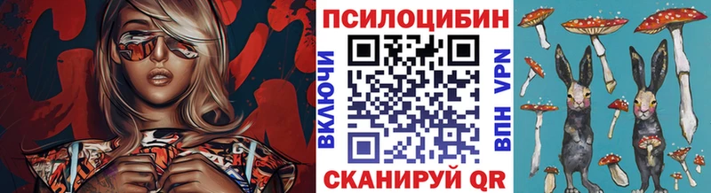 где найти   Всеволожск  мориарти состав  Галлюциногенные грибы Magic Shrooms 