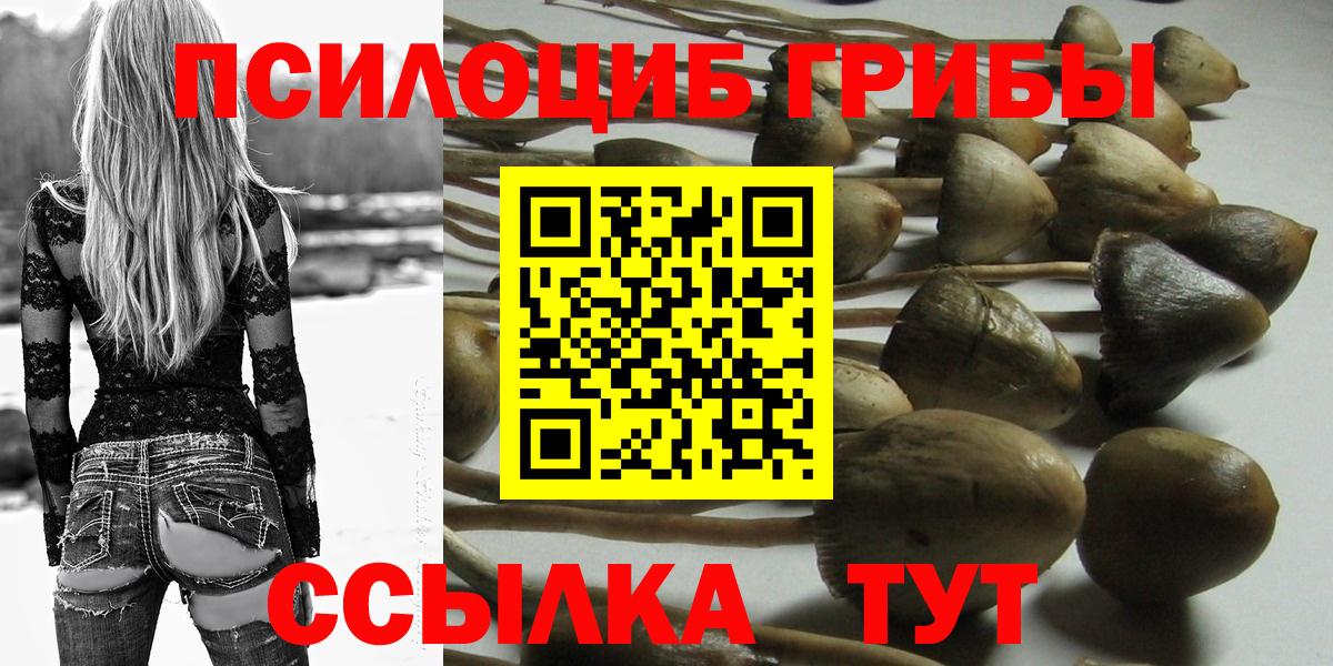 Галлюциногенные грибы Cubensis  Вход с VPN  Всеволожск 