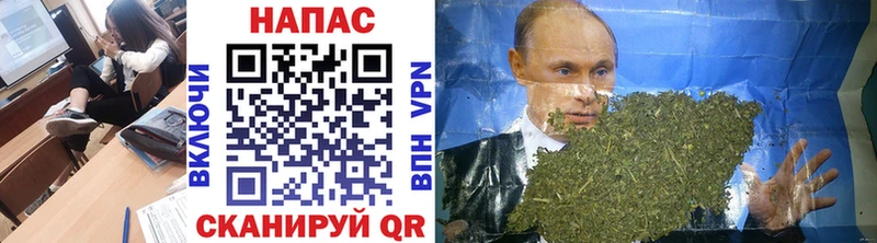 магазин    Всеволожск  Шишки марихуана ГИДРОПОН 